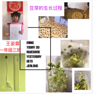 C:\Users\ADMINI~1\AppData\Local\Temp\WeChat Files\d8fa4348f94ed7a8b6dc50fe15660f1.png